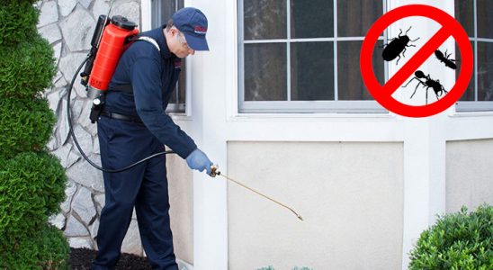 Balatçık Gümüşkurt İlaçlama böcek ilaçlama ve haşere kontrolü — ilaclama-tr.com